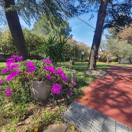 Mercadante - Luxury Holiday House Cassano delle Murge Luaran gambar
