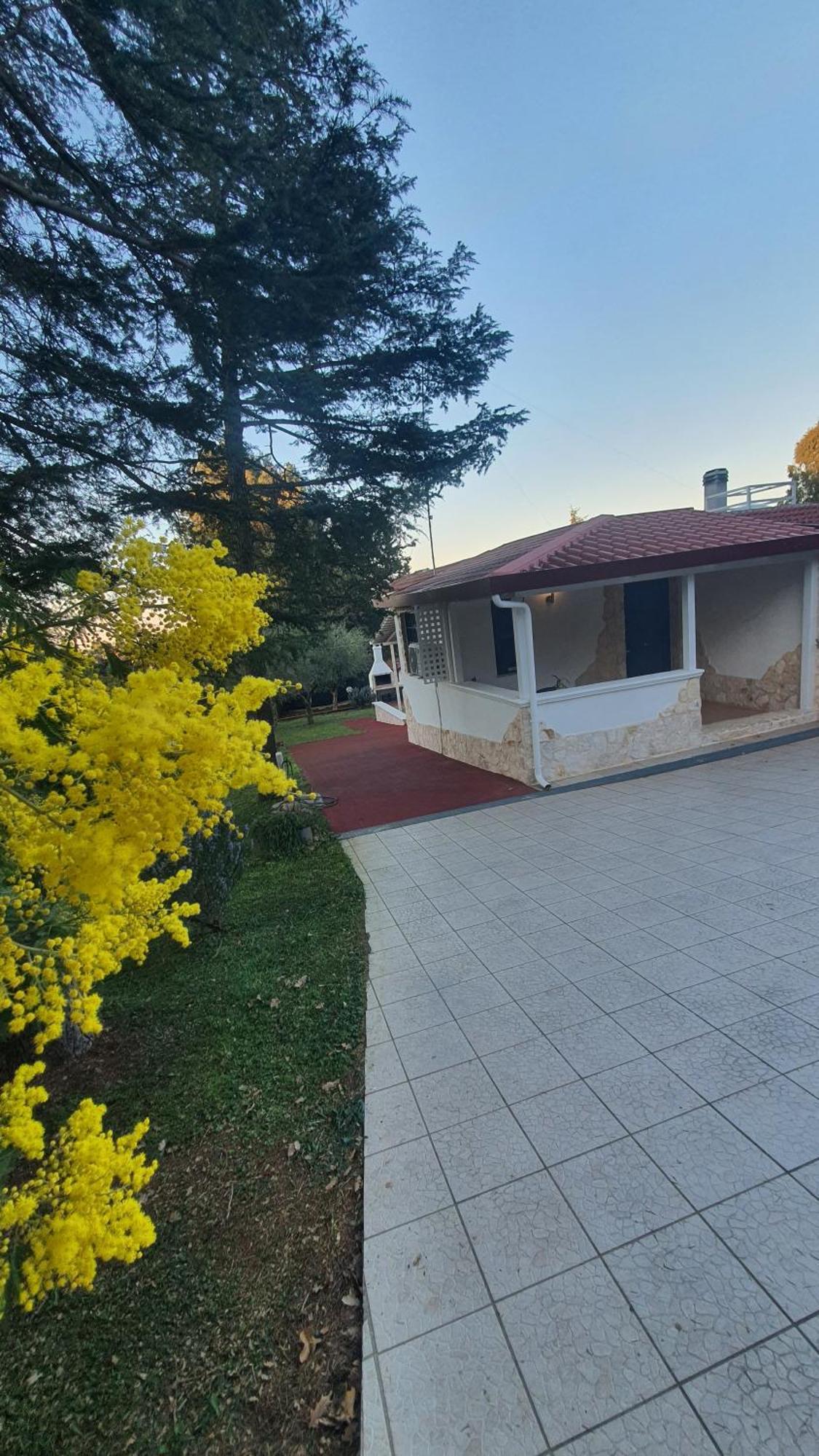 Mercadante - Luxury Holiday House Cassano delle Murge Luaran gambar