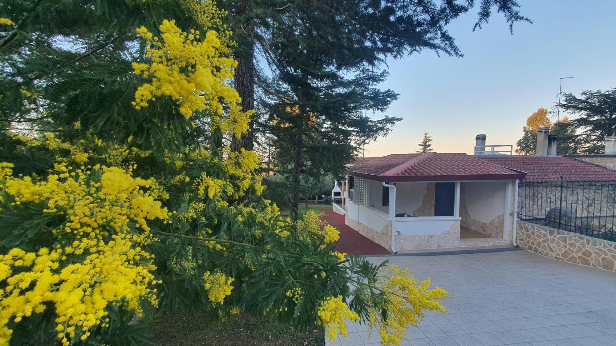 Mercadante - Luxury Holiday House Cassano delle Murge Luaran gambar