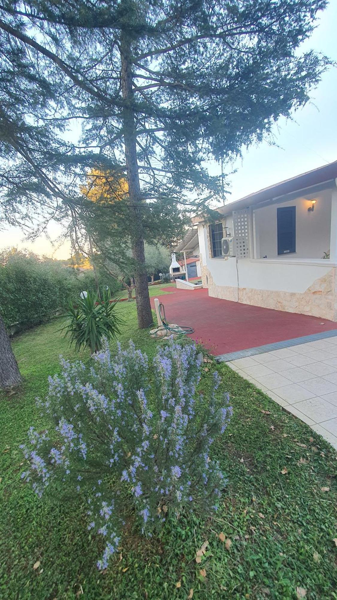 Mercadante - Luxury Holiday House Cassano delle Murge Luaran gambar