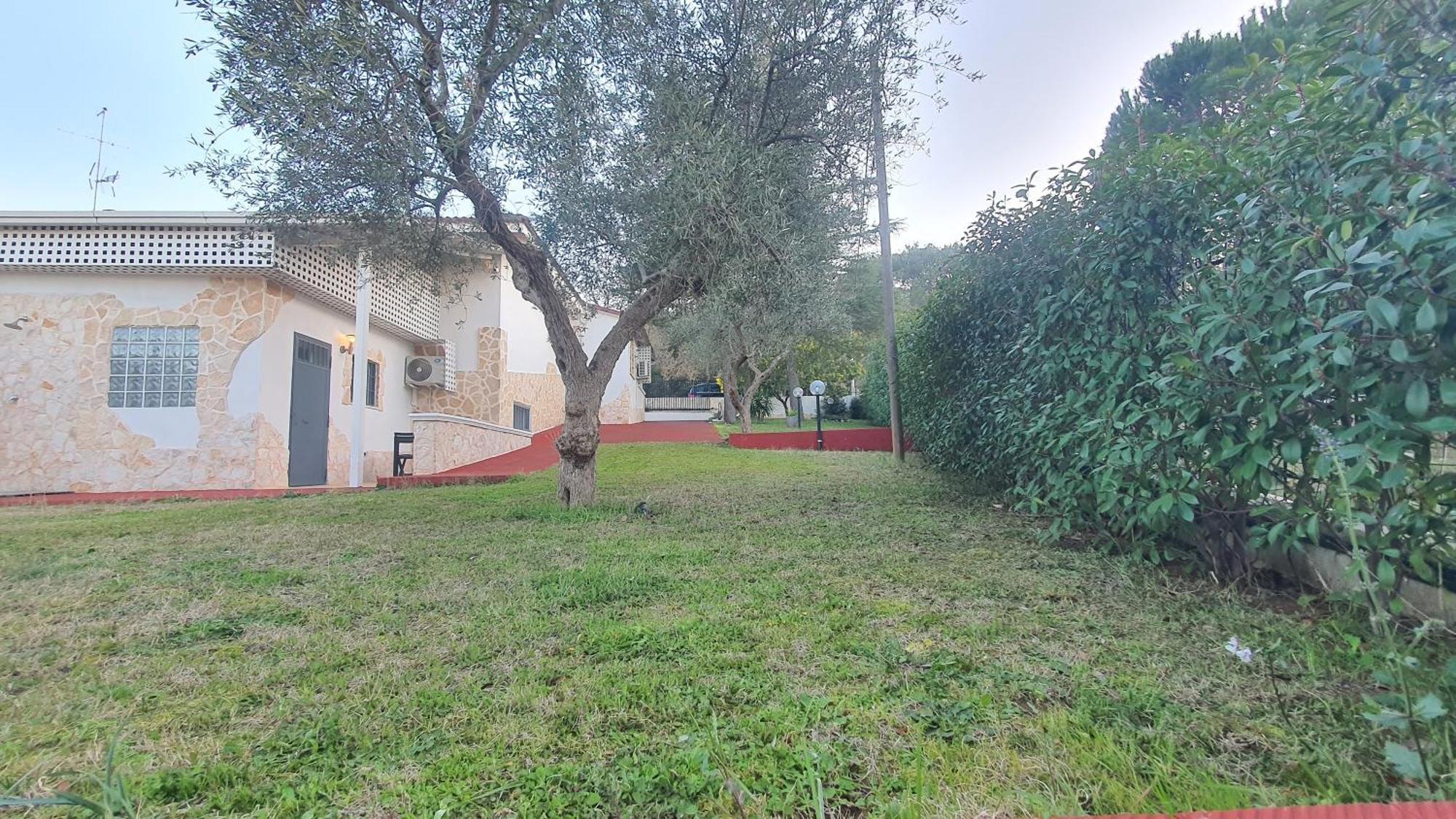 Mercadante - Luxury Holiday House Cassano delle Murge Luaran gambar