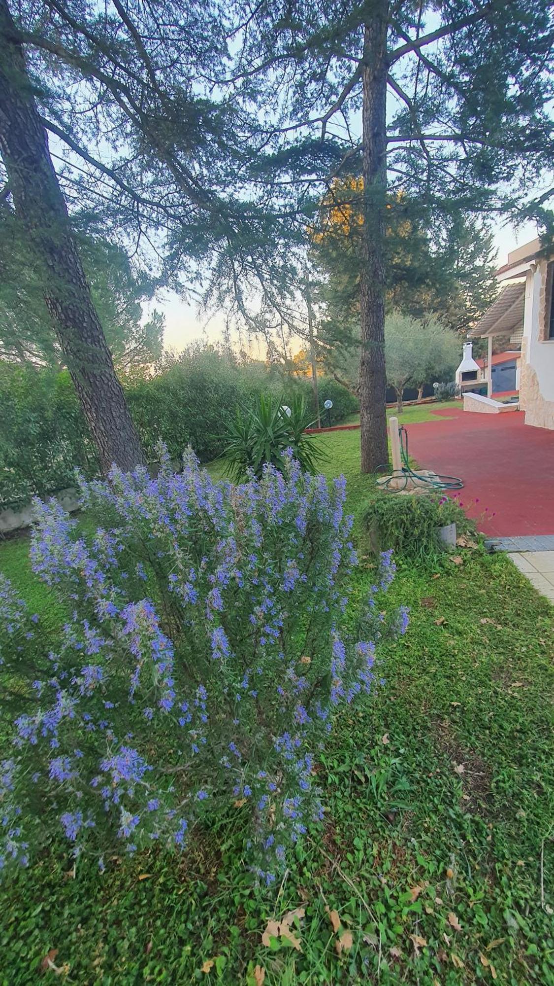 Mercadante - Luxury Holiday House Cassano delle Murge Luaran gambar