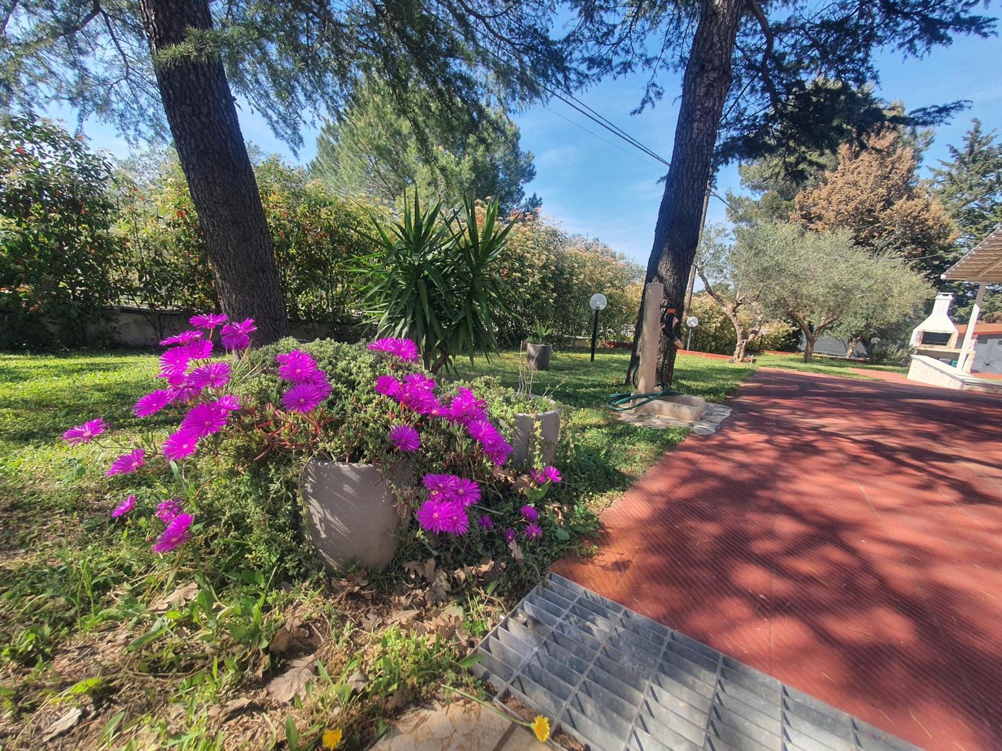 Mercadante - Luxury Holiday House Cassano delle Murge Luaran gambar